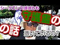 【シークエンスぱぱとも】守護霊の話
