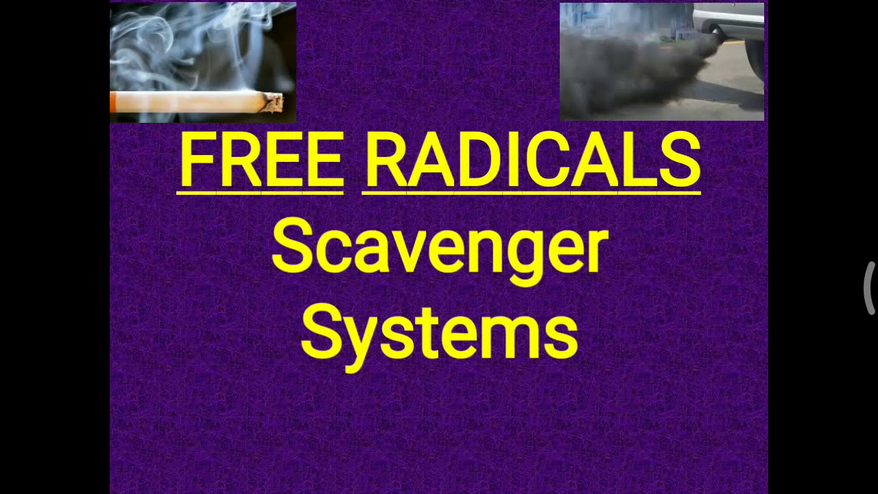 Free Radical Scavenger System YouTube