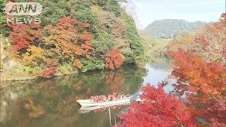 “関東一遅い”紅葉が見頃　千葉県最大のダム湖(16/12/04)