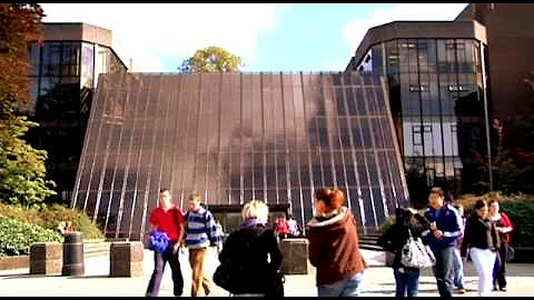 Exploring the Vibrant Faculty at University of Limerick