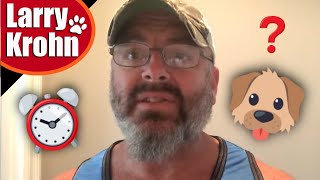 How much time between dog training sessions?