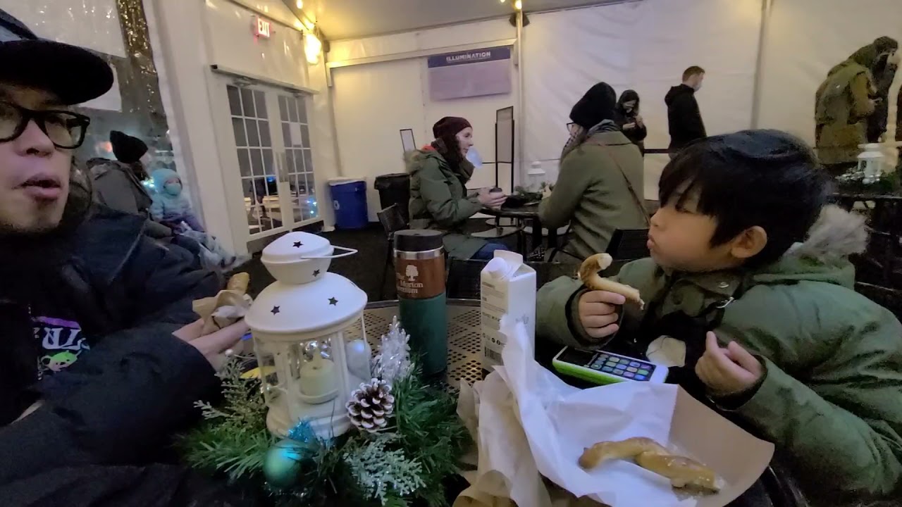 Light Show at Morton Arboretum 2021 Illumination Tree Lights YouTube