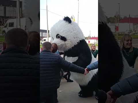 Сюрприз от дочек на юбилей для мамы. Бурю эмоций получила наша именинница #ростоваякукла