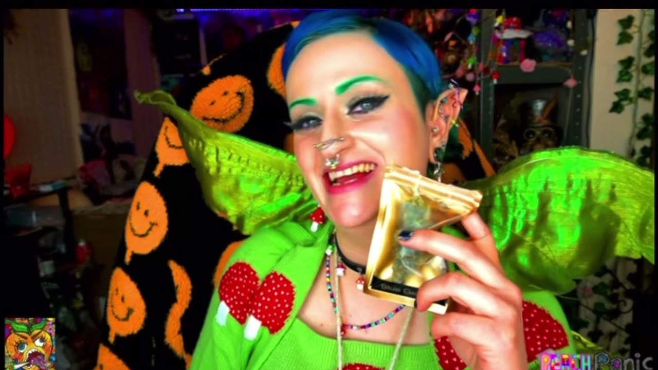 Blue Gelato #41 review