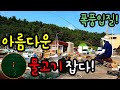 폭풍입질! 아름다운 물고기 잡다! 힐링낚시! 바다낚시 낚시동영상 낚시미끼 제주도!