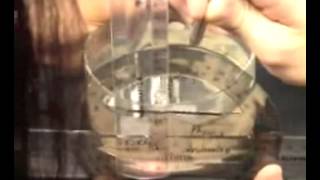 Group 4 Team 2 Final Project Video