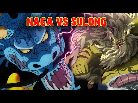 Naga Kaido VS  SULONG Pertarungan  HEWAN  BUAS  One Piece 
