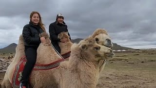 Sharif / Mongolia / Camel / Mongolian nomads/ Deel Village