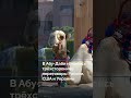 В Абу-Даби начались трёхсторонние переговоры России, США и Украины #новостисегодня
