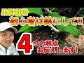 鉢植え栽培の4つのメリット！誰でもどんな果樹でも栽培できる！