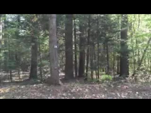 14 Bonnie Belle Farm, Chestertown, NY home video tour
