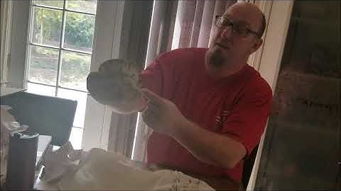 New snake unboxing from Morph Market (Ball Python)