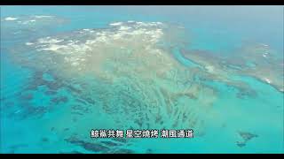 星宇 夏季脈動(  JX Summer Pulse)