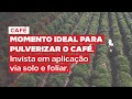 Solo e foliar se completam? Dicas de especialista para um ótimo controle fitossanitário!