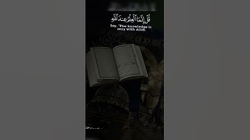ما شاء الله 😍 | القرآن الكريم #quran #اكسبلور #yasseraldossary #المصحف #لايك #اسلام_صبحي