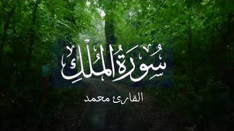 سورة الملك | بصوت القارئ محمد / تلاوة مريحة ( السورة المنجية من عذاب القبر  )