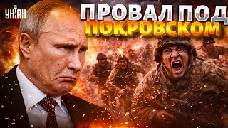 Никаких торгов за Донбасс! Армия РФ облажалась с Покровском: у Путина нет карт