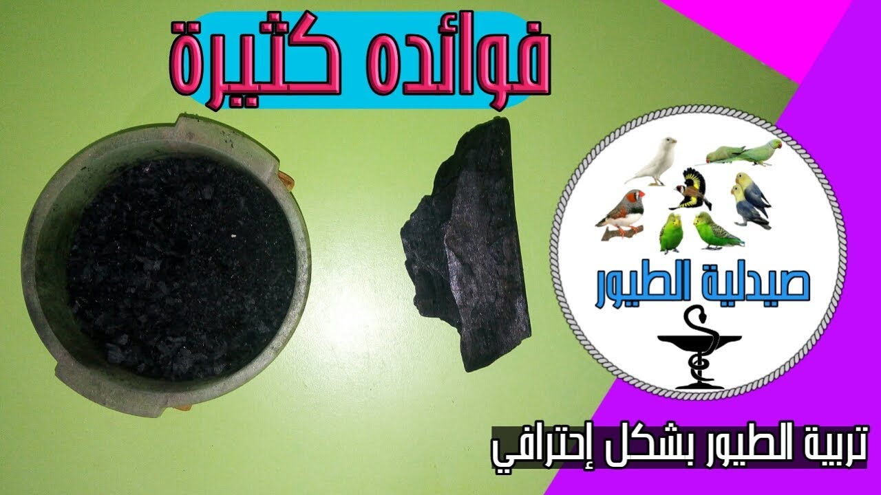 فوائد الفحم الخشبي و أهميته للطيور