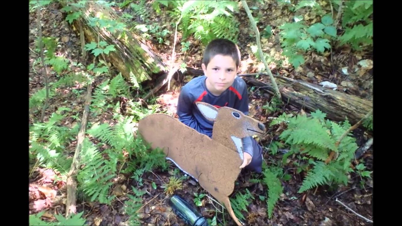 Barry Conservation 4-H Camp - North County Adventure 2015