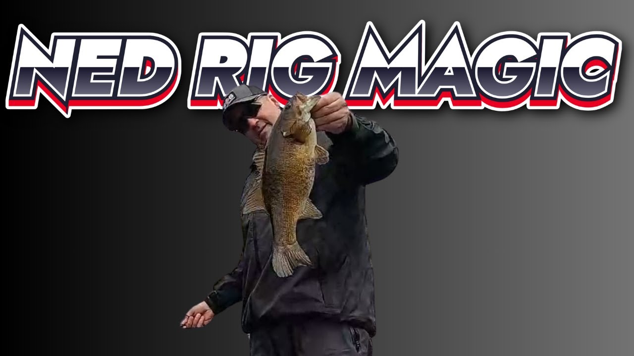 How to Fish the NED RIG