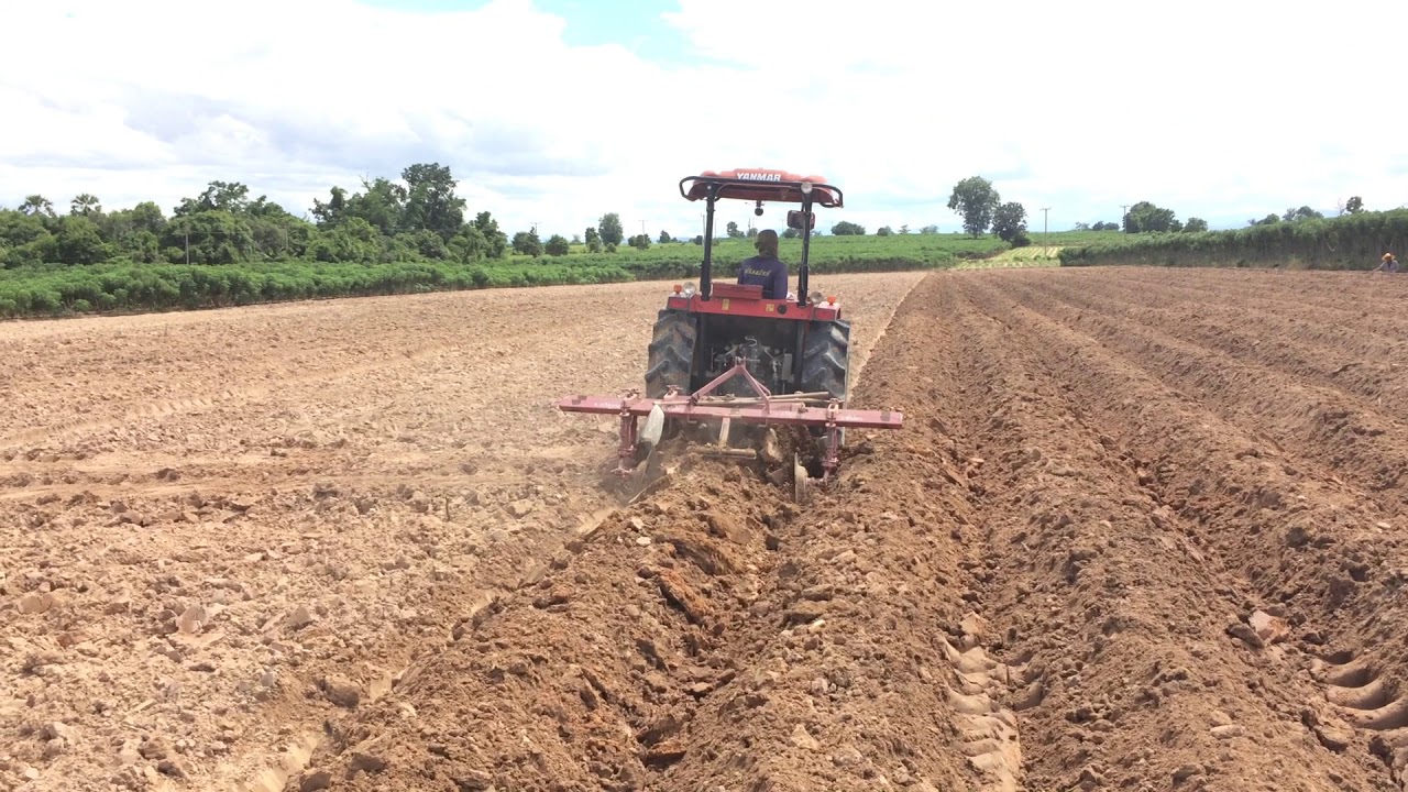 การไถยกร่อง