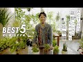 【植物バイヤーセレクト】初心者におすすめの観葉植物BEST5。
