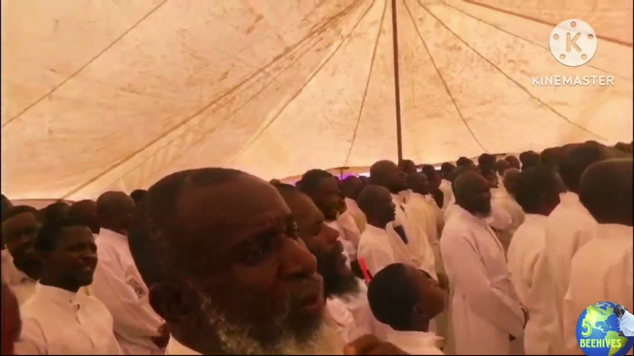 Pakunamata Bvunzai Mweya