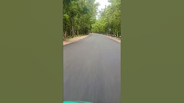 The Day Everything Changed Forever#shorts video #viral