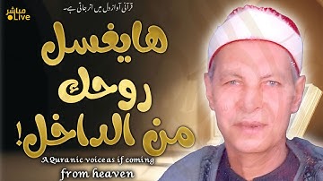 نورٌ يتنزل مع كل حرف 🌙 تلاوة توقظ القلب وتطمئنه ❤️ | Spiritual Tilawah