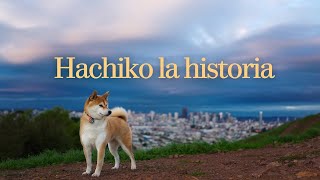 Hachiko: Lealtad Inmortal | La Emotiva Historia del Perro Más Fiel del Mundo by CurioZoo 14 views 5 months ago 3 minutes, 4 seconds