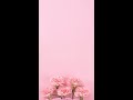Pink and Brown Minimalist Happy Mother's Day Greeting Mobile Video