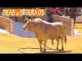 ✅2022 BEAS de SEGURA 05 San Marcos