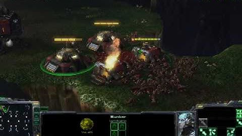 StarCraft 2 (Beta) review running on a Dell Studio 15 with ATI Radeon HD 5400
