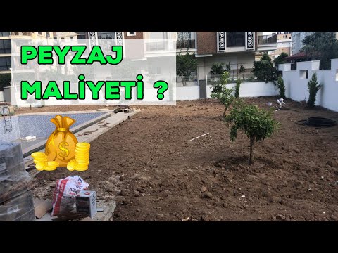 Video: Peyzaj Tasarımında Sorunlar - Peyzajda Sık Yapılan Hatalarla Başa Çıkma