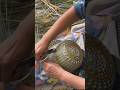 Techniques for making a head cap with straw