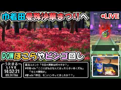 【ドラクエウォークLive】7周年記念 未知への道イベント周回と巾着田曼殊沙華まつりへ【ツイキャス、ニコ生同時配信】