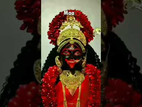 Maa