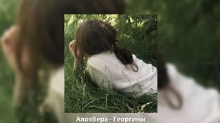 АлоэВера - Георгины // SPEED UP//