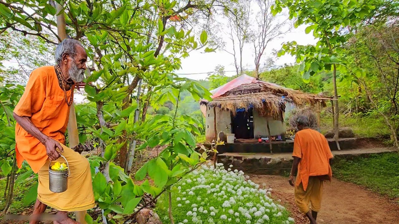 Chitrakoot वृद्ध संत जी कुटिया में जंगली भाजी आलू और रामरोट की प्रसादी