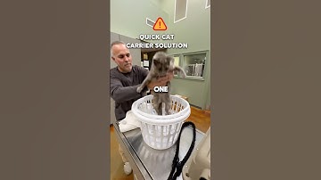 🐱Cat Carrier Solution