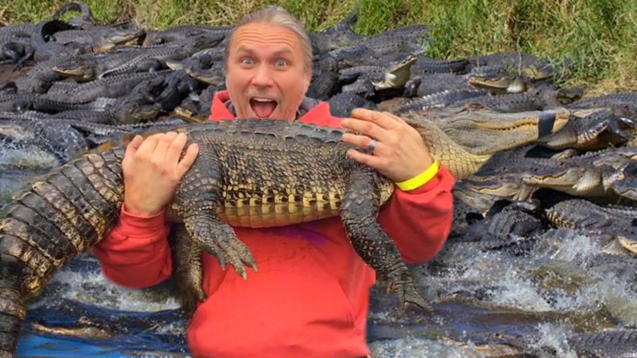 huge alligator killed in florida SAVING 170 ALLIGATORS LIVES!! | BRIAN BARCZYK