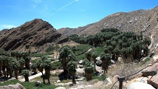 The Indian Canyons at Palm Springs