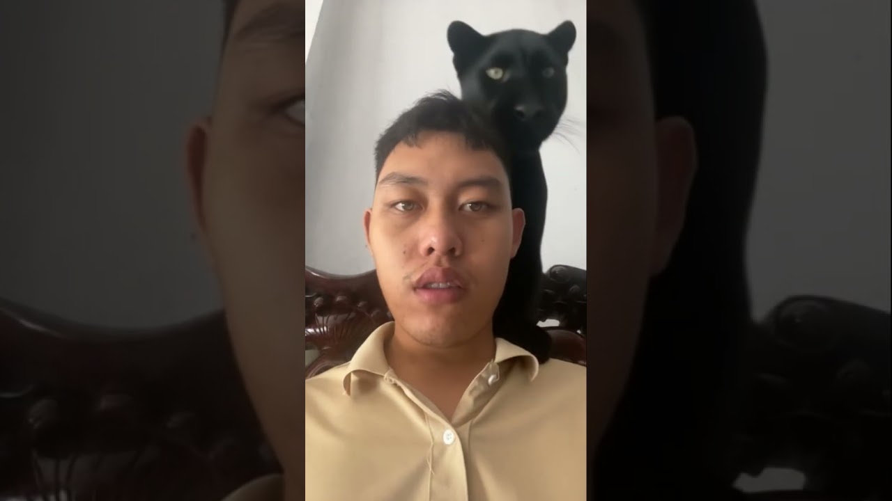 Gag shack jag s judge