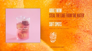 Video thumbnail of "Adult Mom - Steal The Lake From The Water"