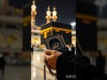 🌷🌸‼️ya Allah sab theek kar de‼️ #sobeautiful #islamicvideo #subhanallah‼️ #mashallah‼️🌷🌸🥀🌻🍁‼️
