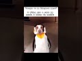 chega a tremer o telefone kakakakaka #memes #meme #engraçado #shortsfeed #amigos #video #viral