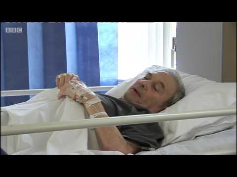 BBC News Interview Swansea University Lecturer Dr Yamni Nigam on her Research into Medicinal Maggots