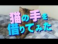 猫の手を借りてみた
