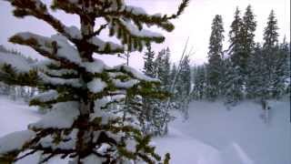 Brain Farm Fan Made Video Compilation