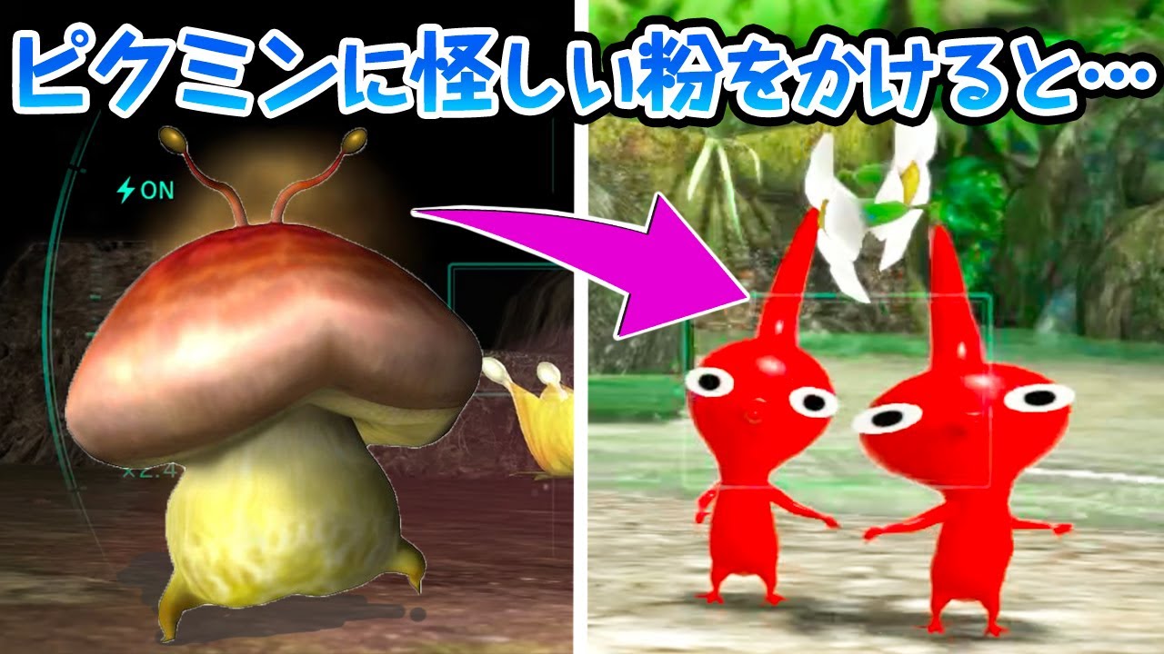 ピクミンが とあるキノコに胞子をかけられた姿がヤバすぎた 衝撃の裏ピクミン Youtube